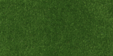 Grass Green V17