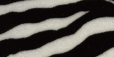 Zebra Velvet V27