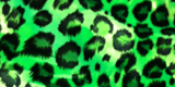 Green Leopard Velvet V29
